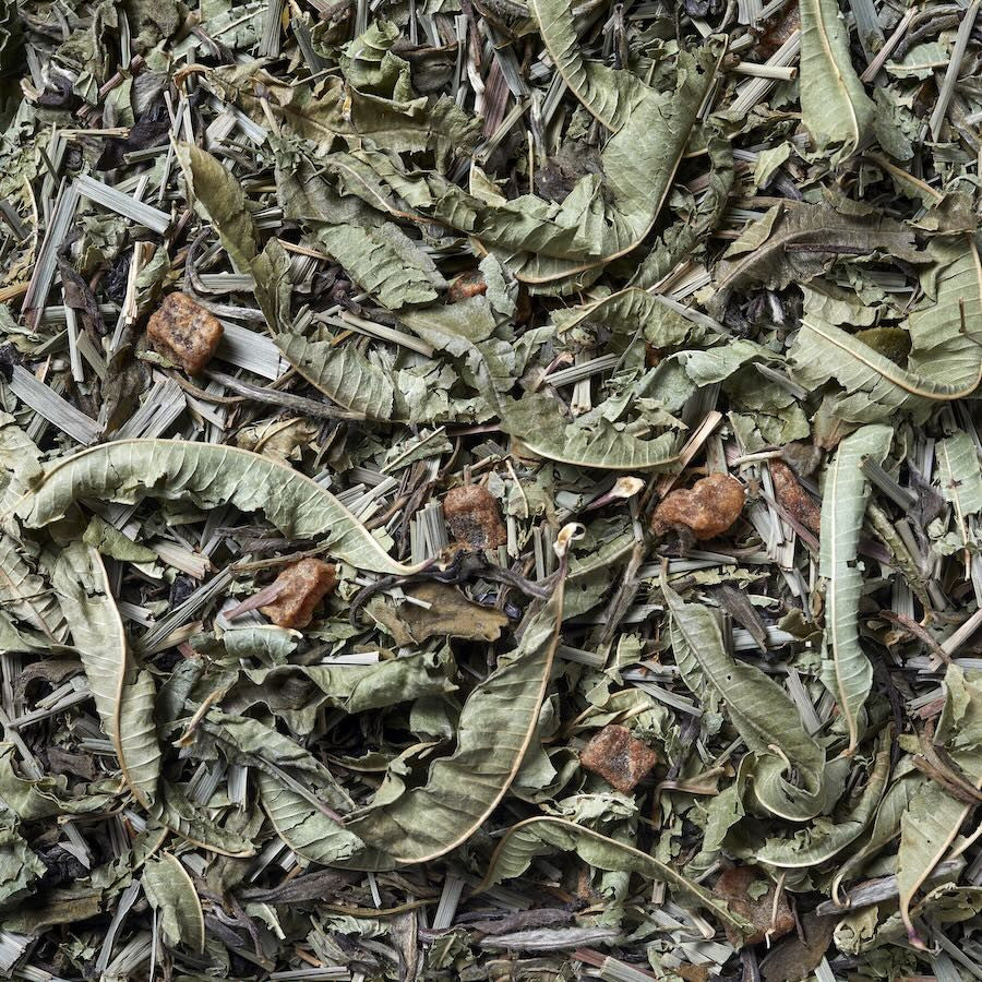 Imágen de Té verde fitness. Mezcla de sabor cítrico y refrescante para mantenerse en forma. Té verde gunpowder