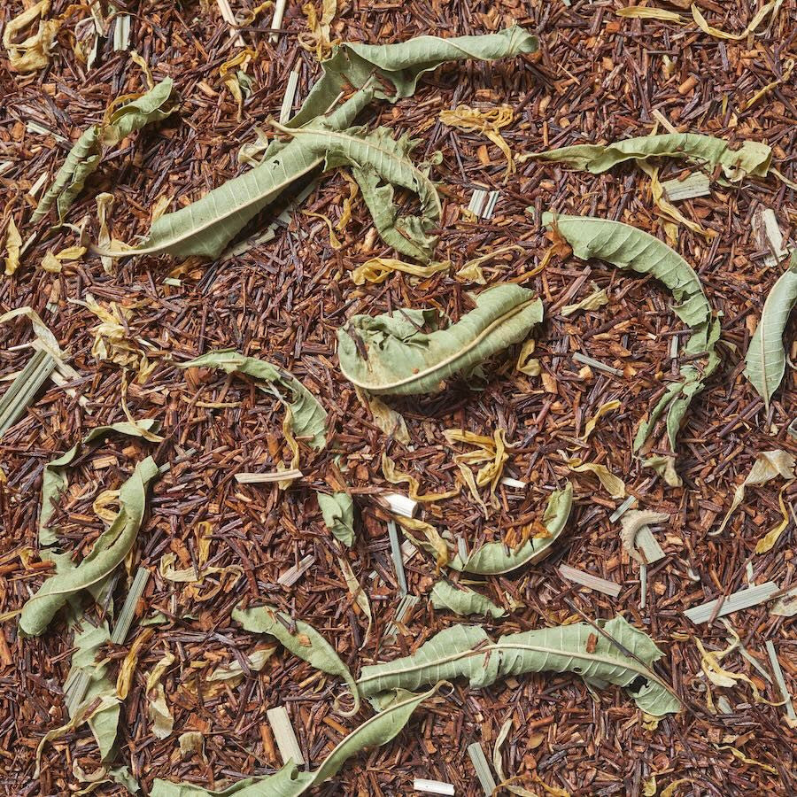 Imágen de Rooibos desierto mágico. Rooibos