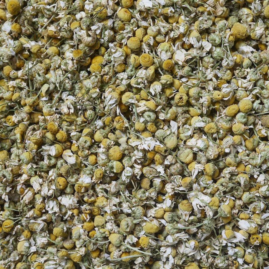 Imágen de Manzanilla flor. Infusión muy digestiva.