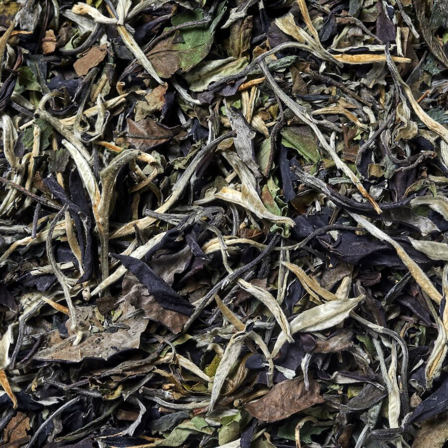 Imágen de Té blanco pai mu tan. Tiernos brotes de té
